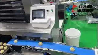 Automatic Mooncake /Maamoul Encrusting Machine with Egg Wash Brushing Machine