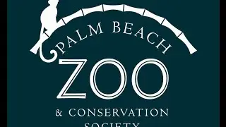Palm Beach Zoo: Rescue. Rehabilitate. Respect.
