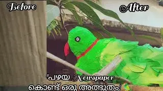 പേപ്പർ ഉണ്ടെങ്കിൽ ആർക്കും നിർമ്മിക്കാം ഈ തത്തയെ! | Easy DIY Paper Parrot Craft Malayalam#diy#craft 