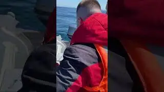#fishing #рыбалка #trap #rapmusic #mobaillegends #carpfishing #алкоголь #прикол #море #пиво