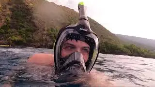 Kellan Rhude swimming with the dolphins on the Hawaii big island!