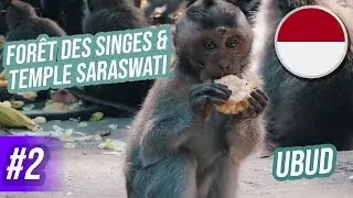 FORÊT DES SINGES ET TEMPLE SARASWATI À UBUD (BALI) - VLOG #2 INDONÉSIE