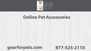 Online Pet Accessories | Gear for Pets