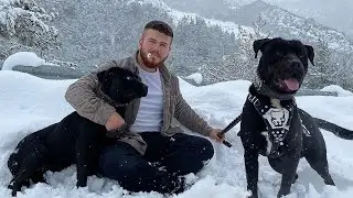 Все должны делать это - вы никогда не видели Аид и ночь такими