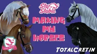 MAXING MY HORSES #1 - TRAINING IN SSO