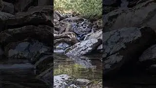 Water Trickle Over Rocks Great Smoky Mountains #greatsmokymountains #waterfall