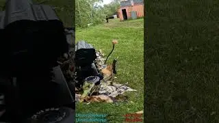 My First Sniper Quad Feed in Airsoft #shorts
