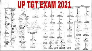 up TGT Science preparation// Organic chemistry