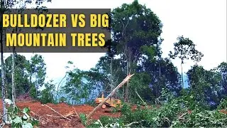 D7R Dozer Constructing Logging Road On Mountain In The Wood