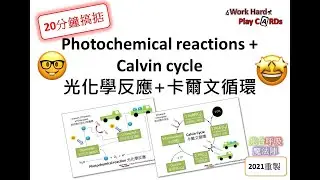 [20分鐘搞掂] DSE Bio 光化學反應+卡爾文循環 Photochemical reactions + Calvin cycle