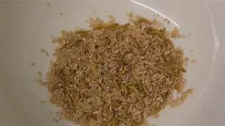 How to Raise Mealworms at Home