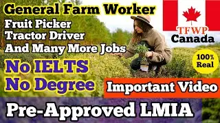 Canada Work Visa 2021 | 2 year Work Permit | Pre-Approved LMIA | ALL NOC | No IELTS | No Education