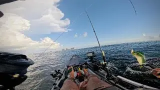 Father's Day fishing trip in Navarre Beach led to this....