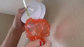 Smoke Detector Replacement (Hard Wired Detector)