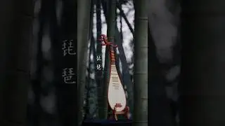 Crafting a Traditional Pipa: The Art of Chinese Lute Making 🎶🛠️