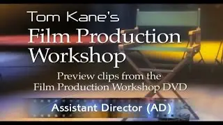 The Role of the Assistant Director