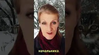не упусти шанс такой,действуй.#работавнайме#прибыльныйбизнес