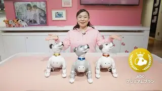 aiboプレミアムプランが楽しくわかる！ サービス紹介動画