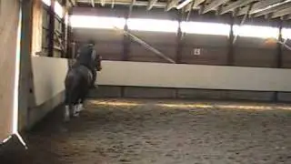 One Nation-your next eventing star