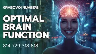 Grabovoi Numbers for Optimal Brain Function - 814 729 318 818