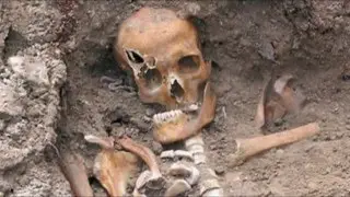Real Giant Human Skeleton