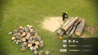 Testing the Endurance of a McCulloch Petrol Chainsaw