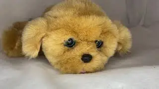 Little Live Pets Interactive Puppy Dog Sound Motion