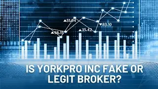 YorkPro Scam Broker Review | Broker Review Expert