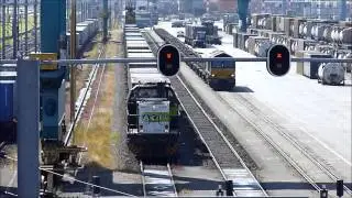 Een paar containers plaatsen op een trein, RSC Waalhaven Rotterdam, 1 juli 2012