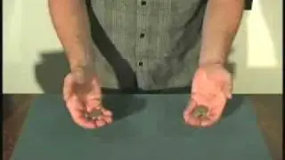 FLIPPER COIN LECTURE TROY HOOSER
