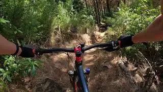 Mangamahoe MTB Park - Twisted Sister 2020-12-30