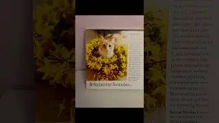 Golden years. November 5th, Cat & Peanuts Desk Calendar&rsquo;s.