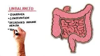 Probiotics