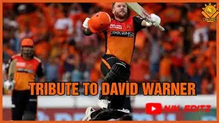 TRIBUTE TO DAVID WARNER ❤️❤️🔥🔥 #srh #davidwarner#whatsappstatus #orangeornothing #njkeditz