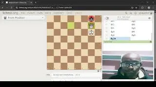 Try this basic endgame of king and queen vs king 