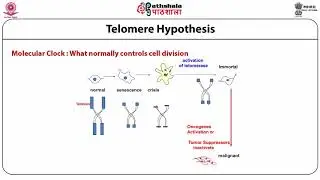 Basics of mammalian cell culture techniques