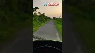my driver life