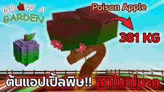ต้นแอปเปิ้ลพิษ!! Poison Apple 381 KG ลูกใหญ่ราคาดีอีกแล้ว?! | Roblox Grow a Garden