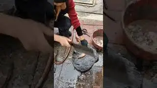 Amazing cutting the Eels #coconutfoodies #foodshorts #shorts