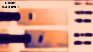 Genotype  - Test Of Time  - Deeper Sessions DS
