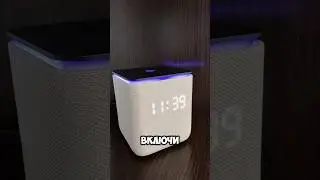 Мои песни вы можете послушать и скачать на всех цифровых площадках🎧 #софияморару #морарудаётжару