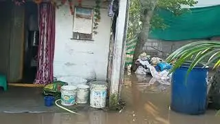 flood effect in lock pet ,Narsapur ,west godavari district