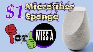 $1 Microfiber Fuzzy Sponge | Shop Miss A | PalsLivesLife