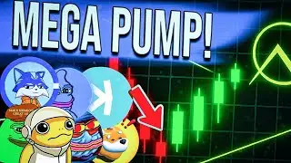 The Biggest Move In Crypto History Is Loading!?