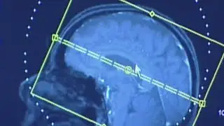 Don't let COVID-19 fear hijack your brain