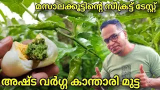 കാന്താരി മുട്ട മസാലയുടെ സീക്രട്ട് രുചിക്കൂട്ട് 🤤🥚 | Kerala's famous Ashtavarga kanthari mutta 🌿🥣