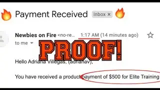 Newbies on Fire Proof - Newbies on Fire Review 🔥🔥🔥*proof*