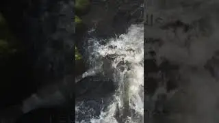 Golitha Falls
