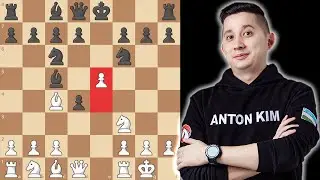 ПОЛНЫЙ АНАЛИЗ&nbsp;+ РАЗРАБОТКИ&nbsp;| Итальянская партия: Атака Макса Ланге&nbsp;| Лекция с&nbsp;Антоном Кимом&nbsp;№3