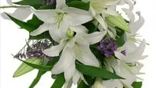 Sneezy Professor: Flowers won't earn extra credit on your exam (scenario)